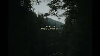 Deep Woods | Lumix S1II Mir 1b 37mm F2.8 | 5.1K 50p Open gate