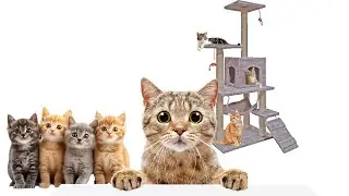 3-Tier Cat House Assembly Instruction