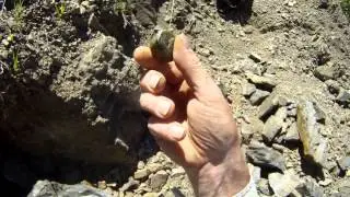 hunting for agates 39 squilax