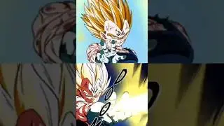 INT+AGL LR Majin Vegeta SA Combined