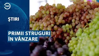 PRIMII STRUGURI ÎN VÂNZARE