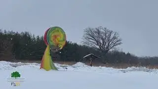 Once Upon a Dream - Gabis Arboretum Snow Day