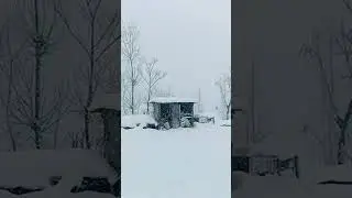 today snow fall in Kashmir &hearts;️