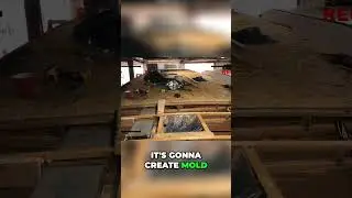 RV Roof Leaks: Hidden Dangers & Mold You MUST Know! #shorts