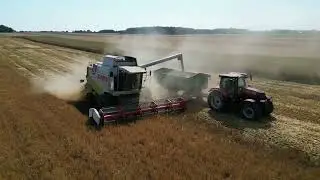 GRChocaj - Żniwa 2023 || Claas Lexion 450 || Case Puma 150 ||