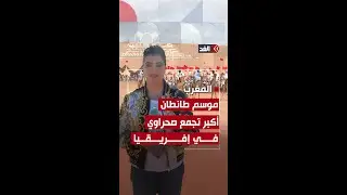 يجمع سنويا أكثر من 30 قبيلة صحراوية مغربية.. ماذا نعرف عن موسم طانطان؟