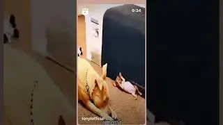 This So Funny