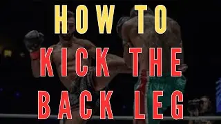 How to Kick the Back Leg in Open Stance ft. Giorgio Petrosyan