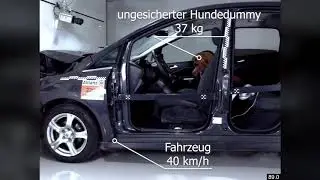 Crashversuche zur Sicherung von Hunden im Auto
