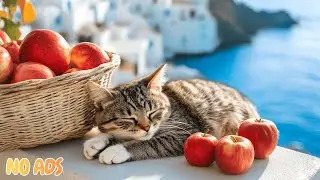 12 Hours Of Anxiety Relief Music for Cats 🐈 Stress Relief & Peaceful Deep Sleep 🌿 No Ads