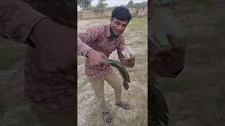 This fish did not get polio 🤣🐬 #fishing #youtube #fish #video #viral #shorts #shortvideo #reels