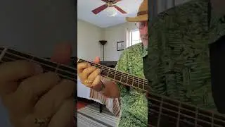 Swamp Lands Original