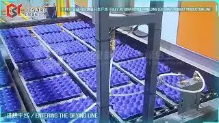 New project landed! Fully automatic pulp molded egg tray production line from BesureTechnology