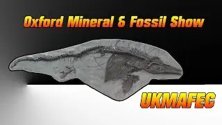 Oxford Mineral & Fossil Show