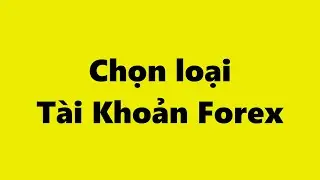 Forex | C&aacute;c loại T&agrave;i Khoản Forex - Trader mới n&ecirc;n chọn T&agrave;i Khoản Forex n&agrave;o?
