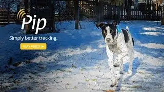 Meet Pip - Pet Tracking Just Got Simpler