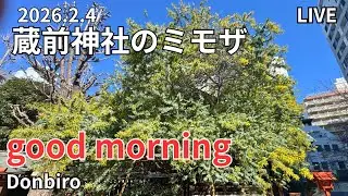[出勤ライブ]東京スカイツリーから、浅草寺、蔵前神社まで歩く✨[Work Live] Walk from Tokyo Skytree to Sensoji Temple and Kuramae Shr