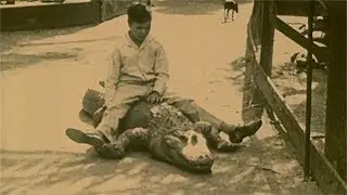 California Gator Farm (1927)