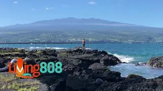 Queens Take the Stage: SIX Brings Royal Power to Hawaii