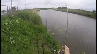 Karpervissen met VEEL live AANBETEN en VANGSTEN en in de nacht een SUPER lange bijvangst!