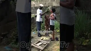 This girl uncle no wan get sense 