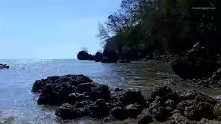 Relaxing Sound of Waves and Melodious Bird Sounds Relaxing Calm, Makes the Soul Relaxed & Prosperous