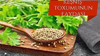 Bir Qaşıq keşniş Toxumu SİZİ DİRİLDƏCƏK! - Sovet Resepti Keşniş toxumunun saysız hesabsız faydaları