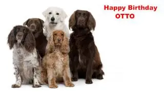 Otto - Dogs Perros - Happy Birthday