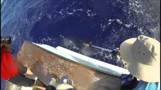 The Mauritius Billfish Release International Tournament 2015 - Mantra Team, JPH Charters