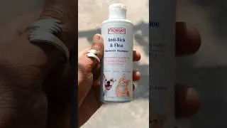 Romsay Anti-tick & Flea Blueberry Shampoo 🤍 #cat #catvideos #catlover #romsay #products #viralvideo