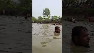 Wow! Amazing Polo Fishing Videos ! Best Big Fish Catching ! Primitive Technique fishing #fish #india