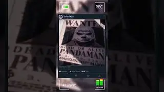The Mysterious PANDAMAN in One Piece