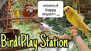 കിളിക്കൂട് എങ്ങിനെ സെറ്റ് ചെയ്യാം || How to set up bird cage || R&B Media