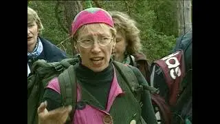 Finnland, nachhaltige Holzwirtschaft