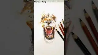 Drawing a Lion with Pencil Color#part1 #lion #liondrawing #drawinglion #lionart #animalart #artwork