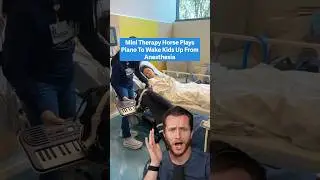 Мини-лошадь-терапевт играет на пианино, помогая детям выйти из наркоза