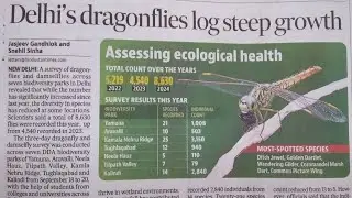 Delhi's Dragonflies log steep growth - details in shorts
