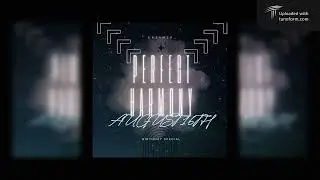 Perfect Harmony | Official Visualiser