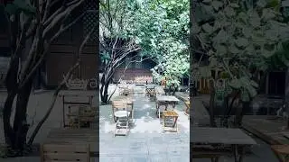 北京南鑼鼓巷旁的Voyage Coffee #travel #beijinglife #beijing #beijingwalk #coffee #古蹟 #short