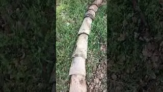 Des vieilles Tuiles Romanes pour cacher un tuyaux d'arrosage 😎