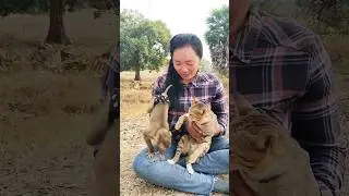 Best video Of CUTE Sokhaa And fun , ADORABLE Animal WILL MAKE YOU SMILE #shorts