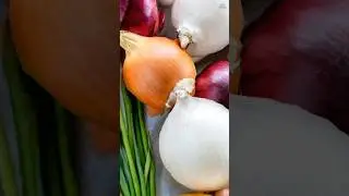 Rabi, Kharif & Zaid Crops of India Explained | Indian Agriculture  #agriculturalcrops #rabicrops