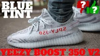 Worth Buying!? Blue Tint Yeezy Boost 350 V2 Review!