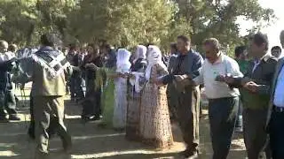 şınak düğünleri (balveren bal festivali)