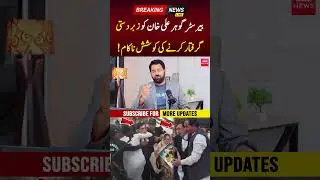 Police Try to Arrest Chairman PTI Barrister Gohar Ali Khan | PNPNews