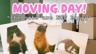 🎉 Come MOVE with us! 🎉