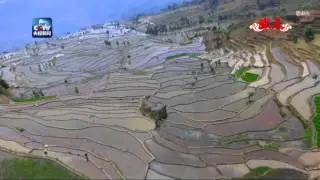 Stunning rice terraces in Yuanyang County, south China's Yunnan Province