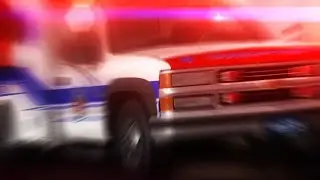 Paulding County elementary student dies on field trip