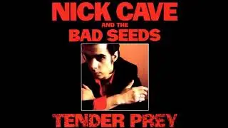 Nick Cave & The Bad Seeds - Deanna