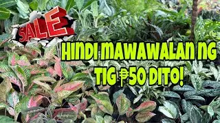 HINDI MAWAWALAN NG TIG ₱50 SALE!